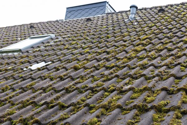 Commercial Roof Cleaning