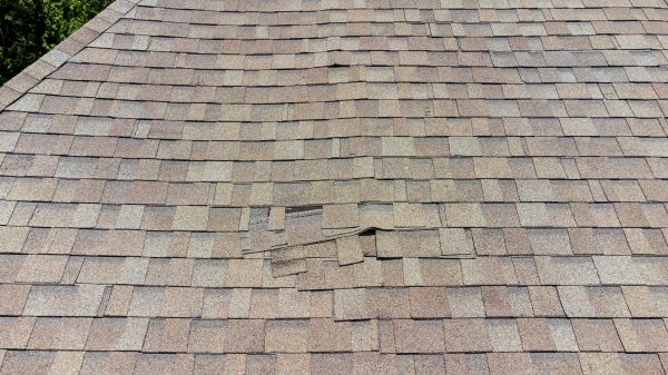 Roof Leak Inspection