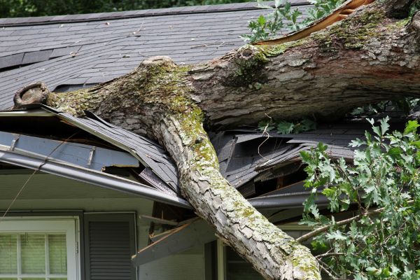 Emergency Roofing Service