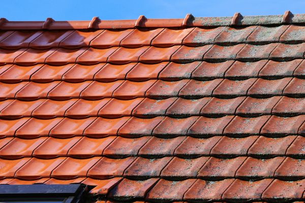 Roof Cleaning