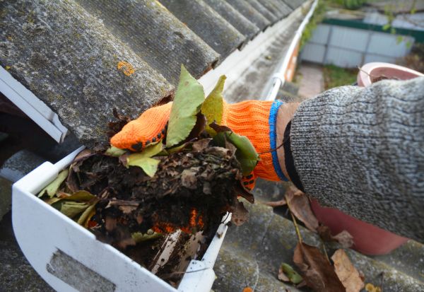 Roof Leaf Removal - Roof Leaf Removal Danville, California