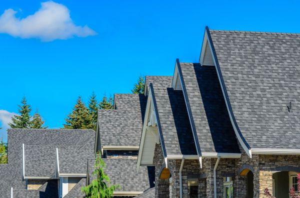 Asphalt Roof Repair
