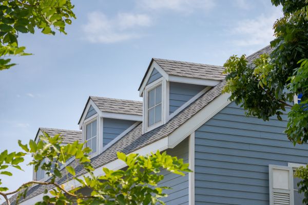 Asphalt Shingle Repair