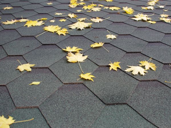 Roof Leaf Clearing - Roof Leaf Clearing Putnam County, New York