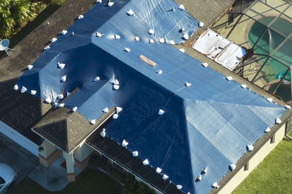 Asphalt Shingle Repair