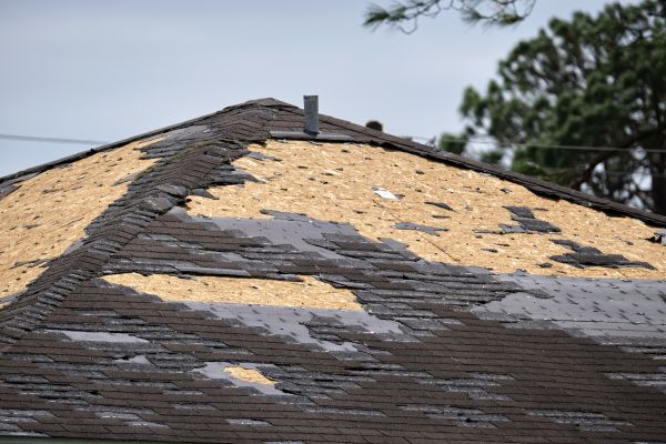 Roof Storm Damage Mitigation - Roof Storm Damage Mitigation Bothell, Washington
