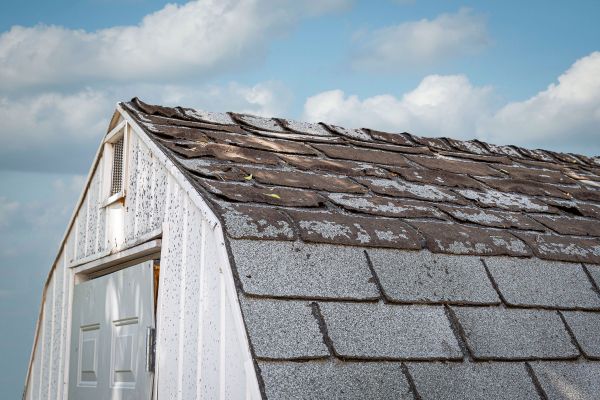 Shed Roof Maintenance - Shed Roof Maintenance Saint Cloud, Minnesota