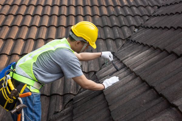 Roof Leak Investigation