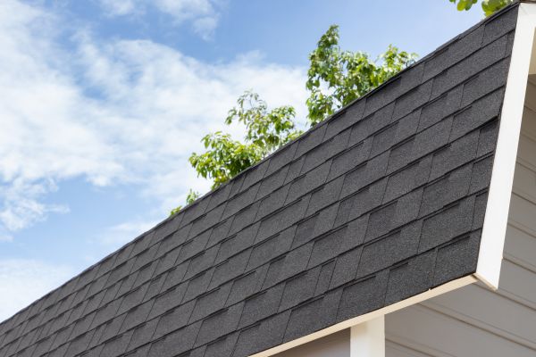Asphalt Roof Replacement