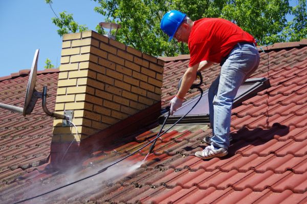 Asphalt Shingles Cleaning