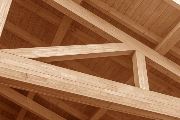 Rafter Replacement