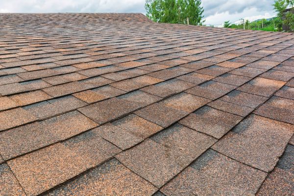 Asphalt Shingle Repair