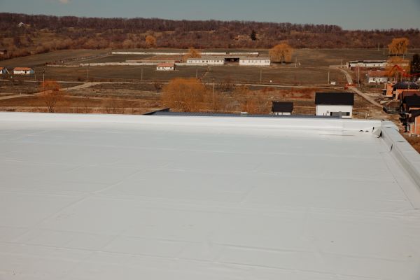 Roof Cleaning