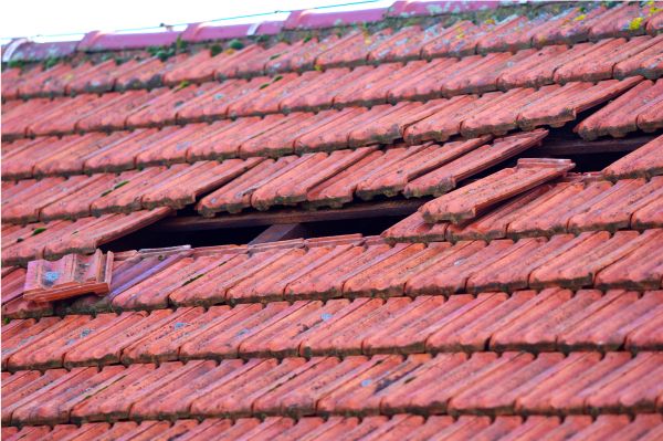 Asphalt Roof Inspection