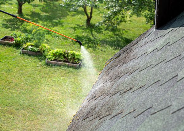 Roof Fungus Removal - Roof Fungus Removal Anoka County, Minnesota