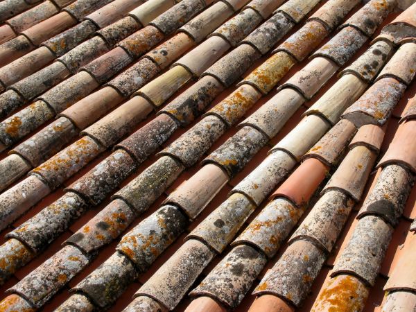 Commercial Roof Cleaning