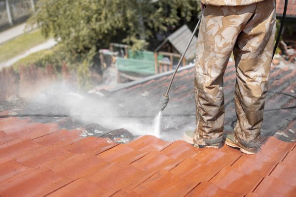 Roof Lichen Elimination