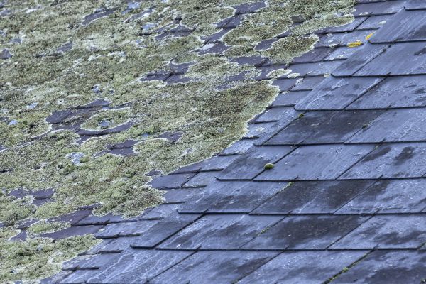 Aluminum Roof Cleaning