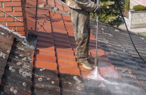 Garage Roof Cleaning