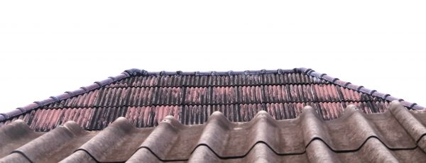 Roof Algae Cleaning