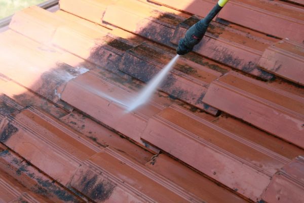 Roof Algae Removal
