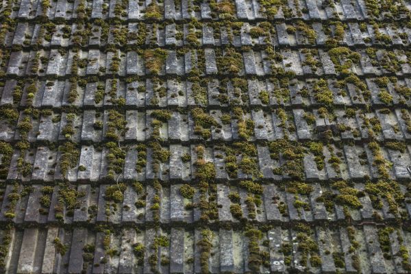 Residential Roof Cleaning