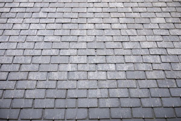 Asphalt Shingles Cleaning