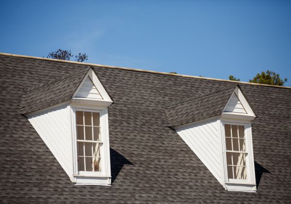 Asphalt Roof Cleaning