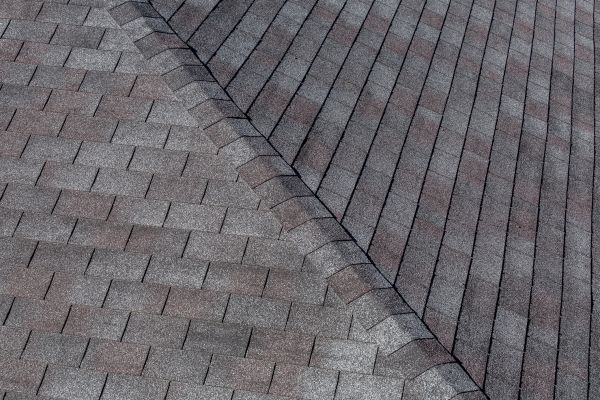 Asphalt Roof Cleaning