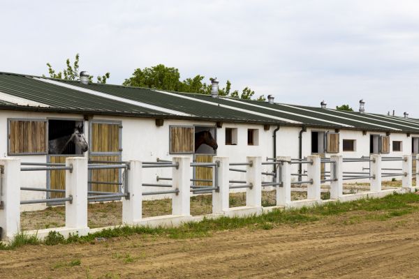 Barn Roof Construction