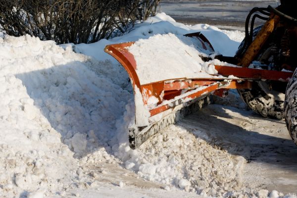 Snow Management Service